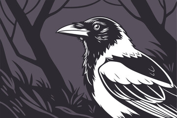  Photorealistic magpie, detailed feathers, black and white plumage, sharp beak, side profile, dark background, studio lighting, high contrast, 8K resolution, wildlife photography, bird portrait, dra