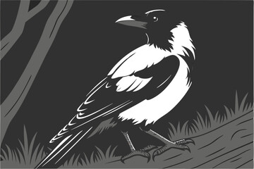  Photorealistic magpie, detailed feathers, black and white plumage, sharp beak, side profile, dark background, studio lighting, high contrast, 8K resolution, wildlife photography, bird portrait, dra