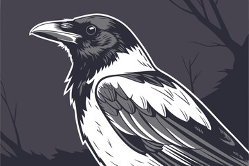  Photorealistic magpie, detailed feathers, black and white plumage, sharp beak, side profile, dark background, studio lighting, high contrast, 8K resolution, wildlife photography, bird portrait, dra