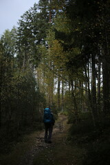 Obraz premium Forest bohemia czech republic luzicke hory