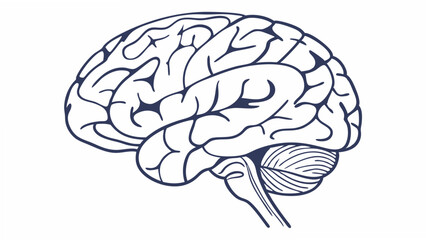 human brain vector illustration