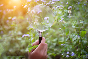 Kids exploring in forest with a magnifying glass