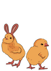 set of easter cute cartoon chick chickens on a white background. spring illustration, a cute yellow chicken with a green hat, and chicken with rabbit ears. greenery
