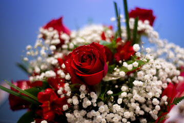 Beautiful bouquet of red roses, perfect for expressing love and romance. Ideal for greeting cards, celebrations, and special occasions