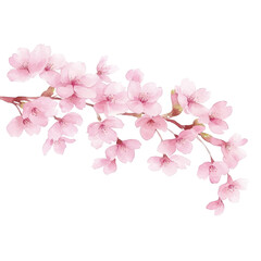 Delicate Blossoms of Spring: A close-up capture of a branch adorned with clusters of soft pink cherry blossoms, symbolizing the arrival of spring and renewal. 