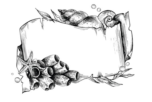Paper banner scroll, in marine theme with underwater animals, shells, seaweed, corals, starfish and bubbles. Graphic illustration hand drawn in black ink. Template, frame, board EPS vector