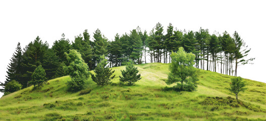 PNG Pine-covered hills landscape scenery nature.