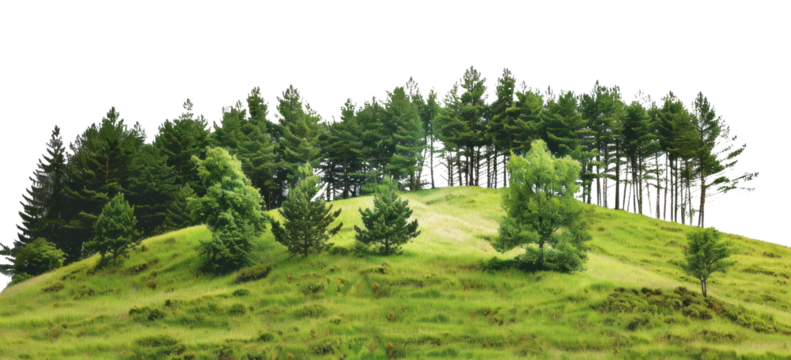 PNG Pine-covered hills landscape scenery nature.
