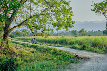 Jeep safari at Kaziranga National Park in Assam, India