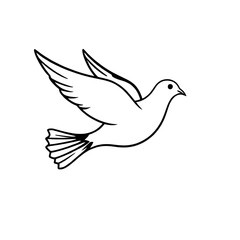 Obraz premium dove of peace isolated