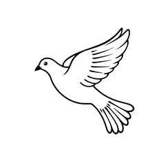 Obraz premium white dove isolated on white