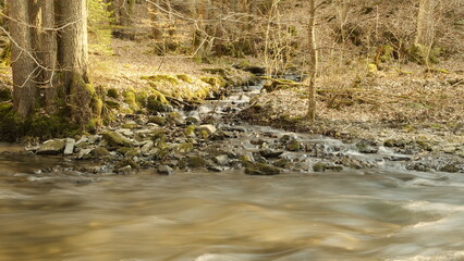 Liedchenbach als Zufluss zur Dhron