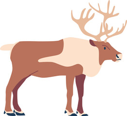 Arctic reindeer animal vector illustration