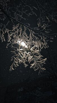 Schnee f&auml;hllt auf B&auml;ume und Laterne