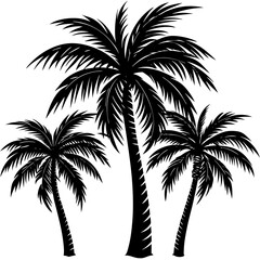 palm trees silhouettes