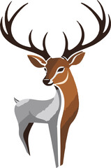 Colorful Deer Illustration vector design, Deer logo and icon Design, Deer vector design