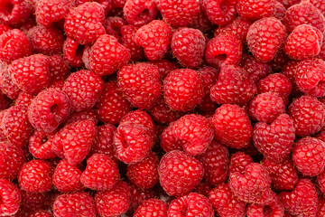 Tasty fresh raspberry as a background.
