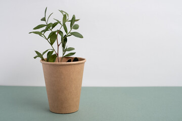 Fototapeta premium Eco-friendly disposable paper tableware. Paper cup, wooden forks, recycling. Copy space 