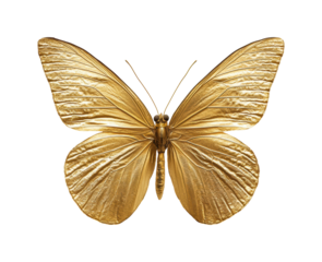 Golden butterfly with metallic texture and intricate wings. Elegant insect design with a shiny golden finish, perfect for artistic and decorative use. Isolated on transparent background, png.