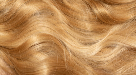 Blond hair close-up as a background. Women's long blonde hair. Beautifully styled wavy shiny curls. Hair coloring. Hairdressing procedures, extension.
