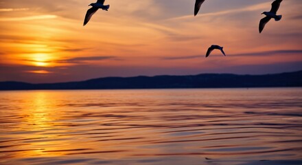 Fototapeta premium Silhouetted birds flying over a tranquil lake at sunset
