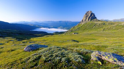 Naklejka premium Mountain peak sunrise valley fog alpine meadow