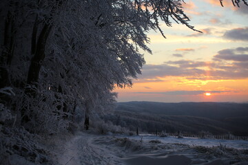 winter landscape moravia czechia