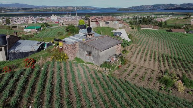 AQUITANIA, CASITA 