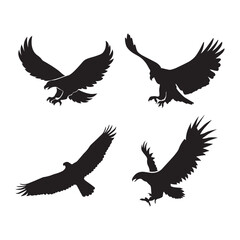 Flying Eagle Graphic Design