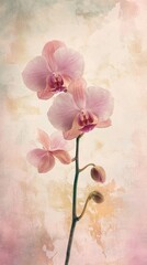 Elegant pale pink orchid blossoms grace a delicate textured background