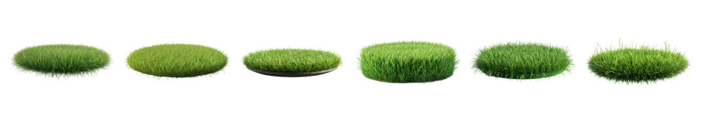 Lush Green Grass Tuft Variations Nature Spring Growth