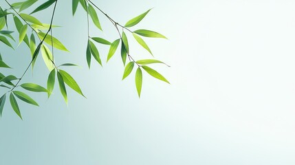 Fototapeta premium Vibrant Green Bamboo Leaves on a Soft Blue Background