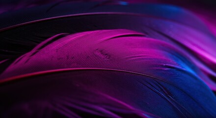 Vibrant feathers in shades of purple and blue create a stunning visual effect
