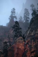 Zion Fog