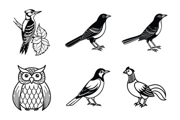 "Black and White Bird Illustrations – Woodpecker, Owl, Magpie, Wagtail, and Rooster Line Art Drawings"