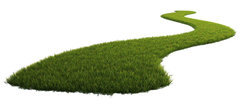 Grass path isolated on transparent background. 3D rendering.  