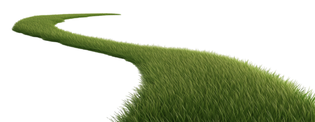 Grass path isolated on transparent background. 3D rendering.  