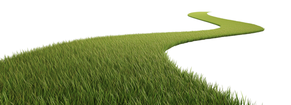 Grass path isolated on transparent background. 3D rendering.  