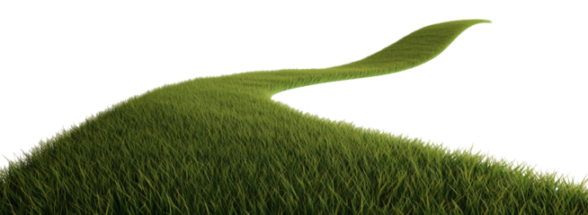 Grass path isolated on transparent background. 3D rendering.  
