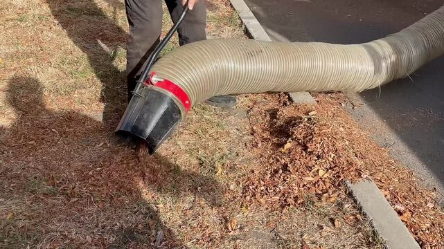 Industrial Leaf Vacuuming with Large Suction Hose in Autumn Cleanup