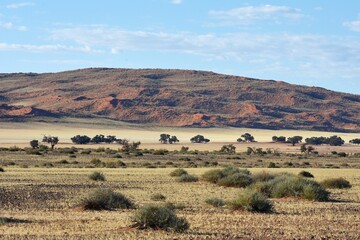Obraz premium Sanddünen der Namib im Abendlicht in Namibia