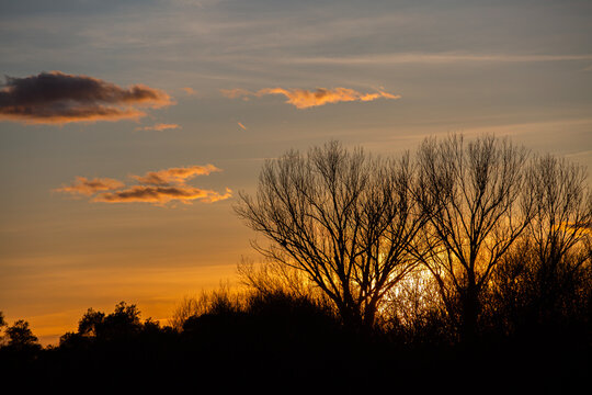 Puesta de sol en la vereda de un rio