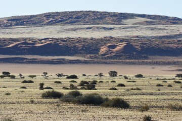 Sanddünen der Namib im Abendlicht in Namibia