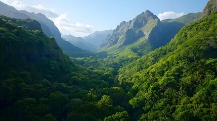 Fototapeta premium Lush Green Mountain Valley Landscape