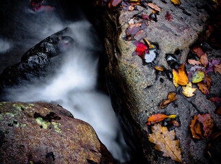 Water flows between rocks with Autumn leaves