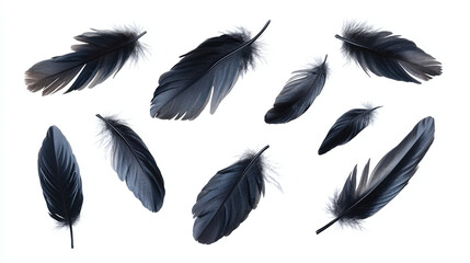 Abstract White Bird Feathers Falling in The Air. Floating Feathers. Softness of Feather, isolated on white background.