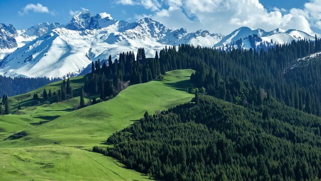 Snow Mountain Grassland in Xinjiang, China
