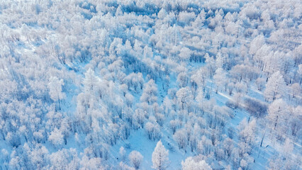 Winter rime