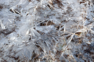 The ice on the river looks like a frozen onion skin, broken by old dry grass on the riverbank and the spring sun