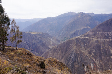 Naklejka premium Majestic Colca Canyon Landscape in Peru with Rugged Mountains, Deep Gorges, and Scenic Overlooks - Nature Travel Destination for Hiking and Sightseeing